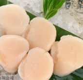 加拿大帶子20/30,500G/包