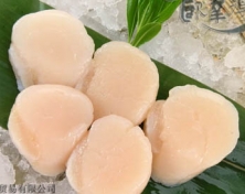 加拿大帶子20/30,500G/包